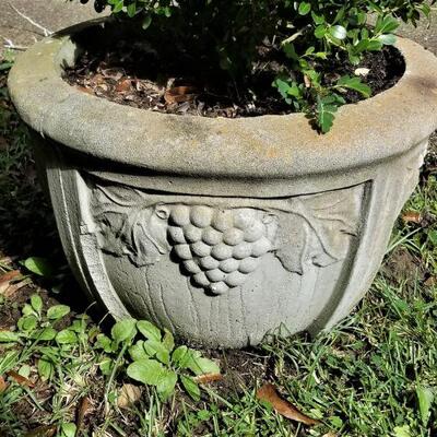 Lot #66  Pair of Vintage Concrete Planters