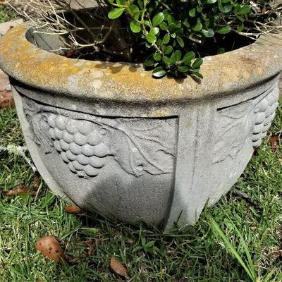 Lot #66  Pair of Vintage Concrete Planters