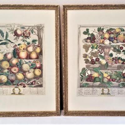 Lot #67  Pair of Framed Reproduction Botanical Prints
