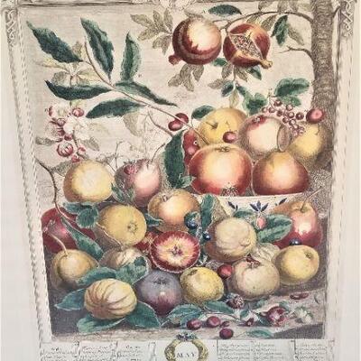 Lot #67  Pair of Framed Reproduction Botanical Prints