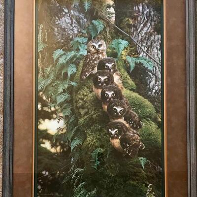 The Family Tree Saw-Whet Owls Signed & Numbered Lithograph By Carl Brenders