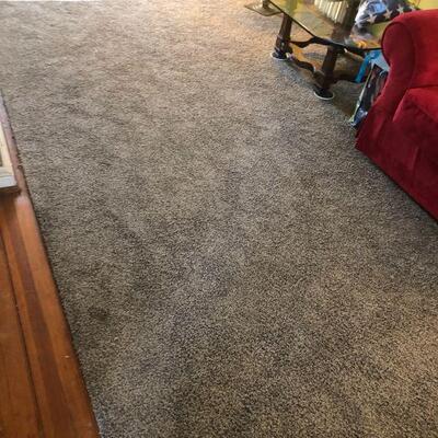 Carpet Remnant 1
