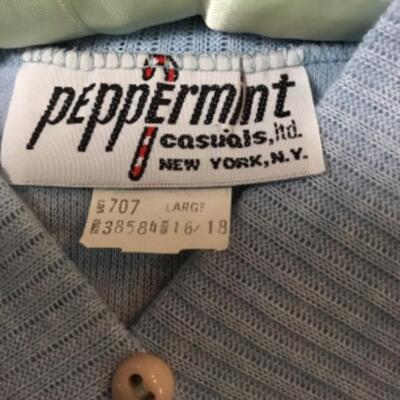 Vintage Peppermint Casuals, Ltd. New York, Baby blue pullover sweater v-neck Junior size Large