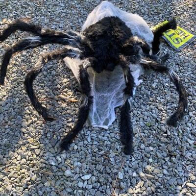 656. Giant Animatronic Jumping Spider