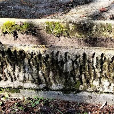 Lot #148  Three matching vintage concrete Garden Planters
