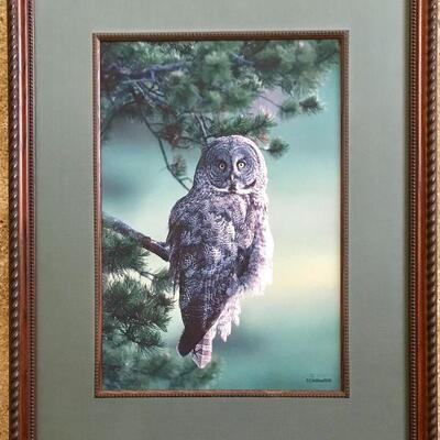 Framed Owl Lithograph Signed By Charles Volkland