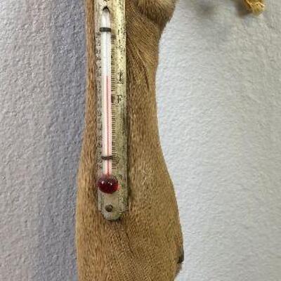 #78 Deer Hoof Thermometer 