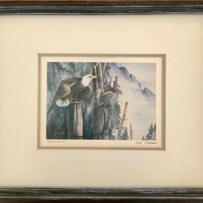 Susan Coleman Signed Framed Print Power Of The Eagle