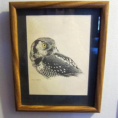 3 framed owl prints