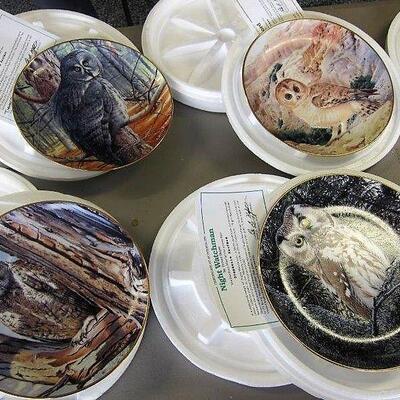 Owl collector plates