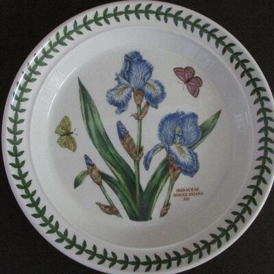 Lot 67- Collection of Portmeirion Plates
