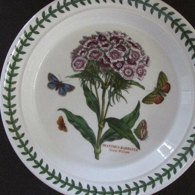 Lot 67- Collection of Portmeirion Plates