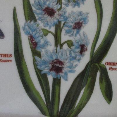 Lot 68- Collection of Portmeirion Plates