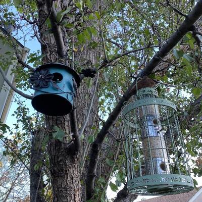 Pair bird feeders
