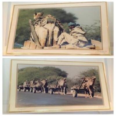 LOT#68D: Pair of Framed Photos from Jaipur India