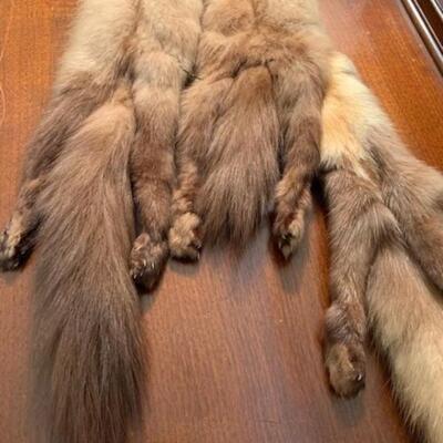 LOT 35 Misc Furs