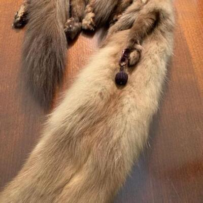 LOT 35 Misc Furs