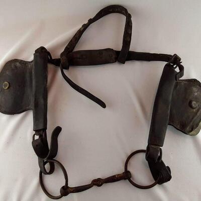 Bridle with Blinders