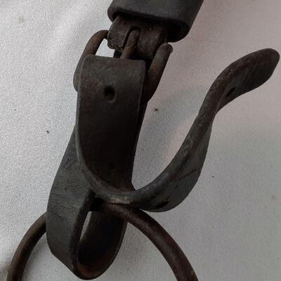 Bridle with Blinders