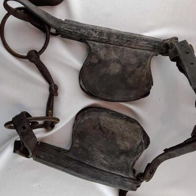 Bridle with Blinders