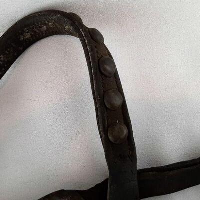 Bridle with Blinders
