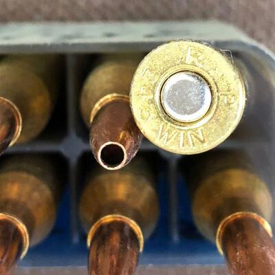 #170 Winchester 20 Hollow Points 