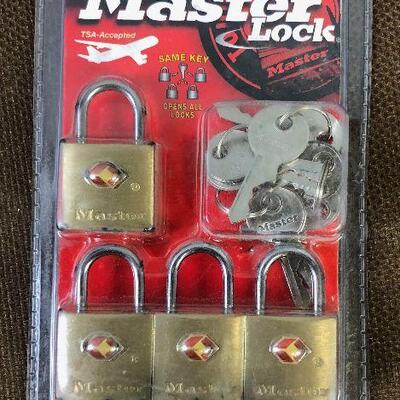 #214 Master Luggage Pad Locks