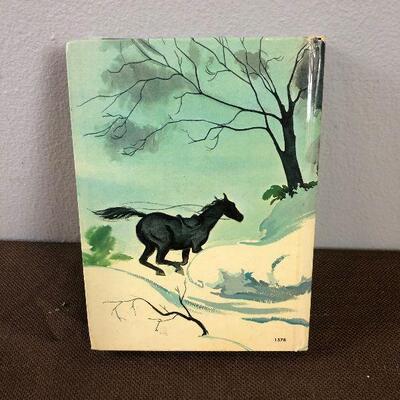 #322 TRIXY BELDEN and the BLACK JACKET MYSTERY BOOK 