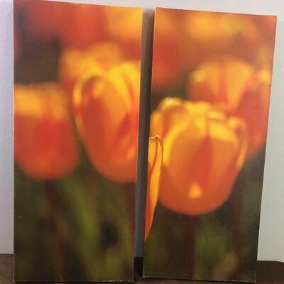 #347 2 Canvas Flower Prints ORANGE TULIPS 