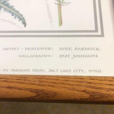 #349 Native Wild Flowers Poster FRAMED 