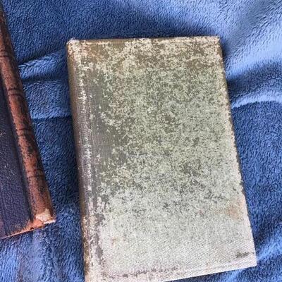 Two Antique Books with Nature, Art and Figures