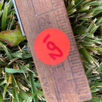 201: Vintage  Levels