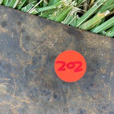 202: Vintage  Hand Planners and Yankee Hand Drill