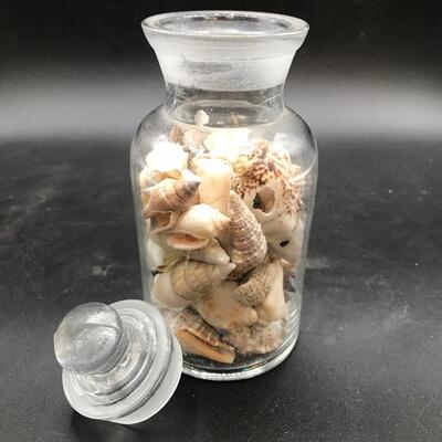 Glass Jar of Seashells