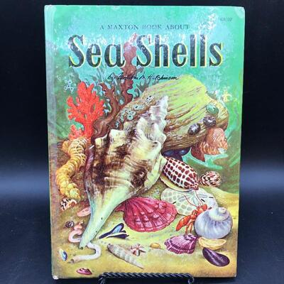 “A Maxton Book About: Seashells“ Children’s Children’s 1954