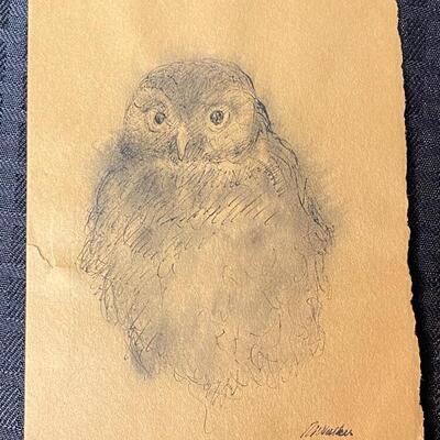 Set of Vintage Owl Drawings and Prints