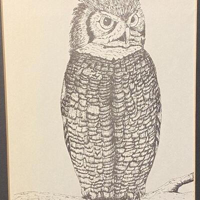 Pair of Vintage Owl Prints