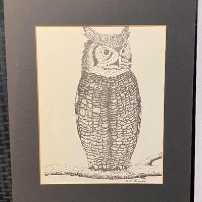 Pair of Vintage Owl Prints