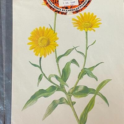 Famous Prints by American Handicrafts Vintage Unframed Floral Prints