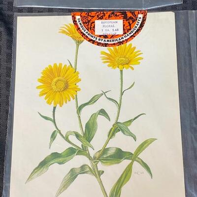 Famous Prints by American Handicrafts Vintage Unframed Floral Prints
