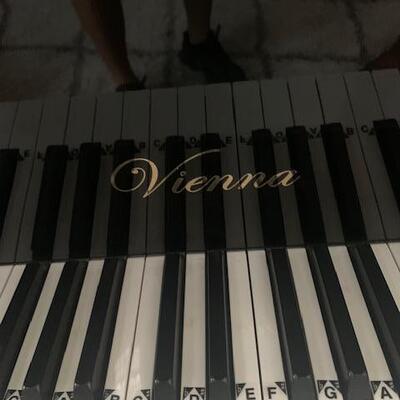Vienna Baby Grand Player Piano