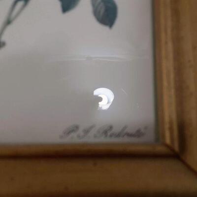Framed Rose Print