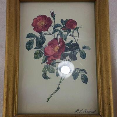 Framed Rose Print