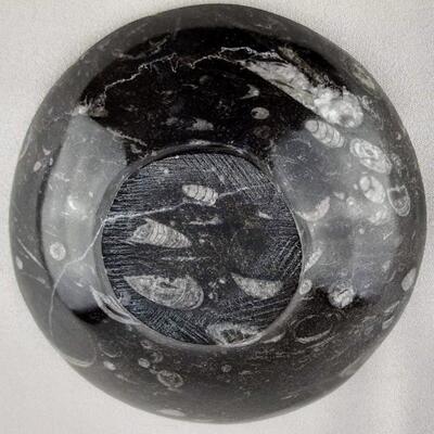 Orthoceras Fossil (Squid) Bowl