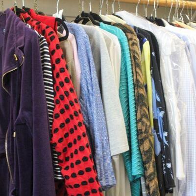 Lot 44 HUGE lot of Women's Clothing (L-XL)