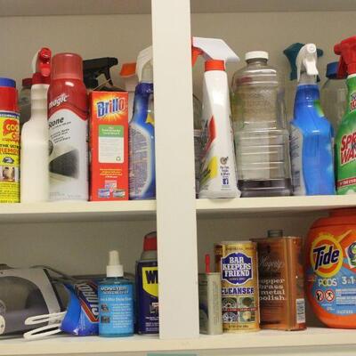 Lot 190 Contents of Interior Cleaning Products Cabinet