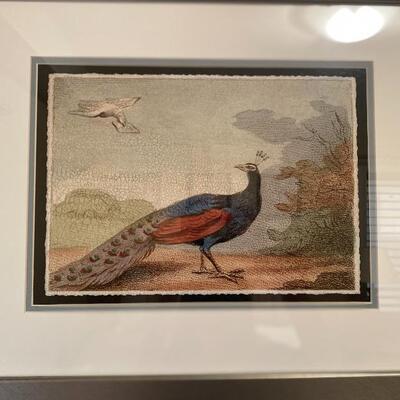 Framed peacock wall art 