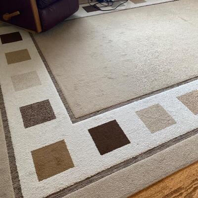 8 x 10 rug 