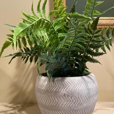 Artificial plant in pottery 