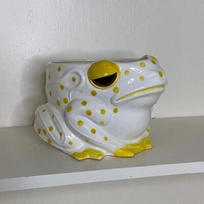  Ceramic Frog Planter